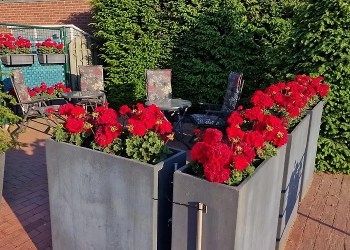 Anno 1919 Oda ve Kahvaltı